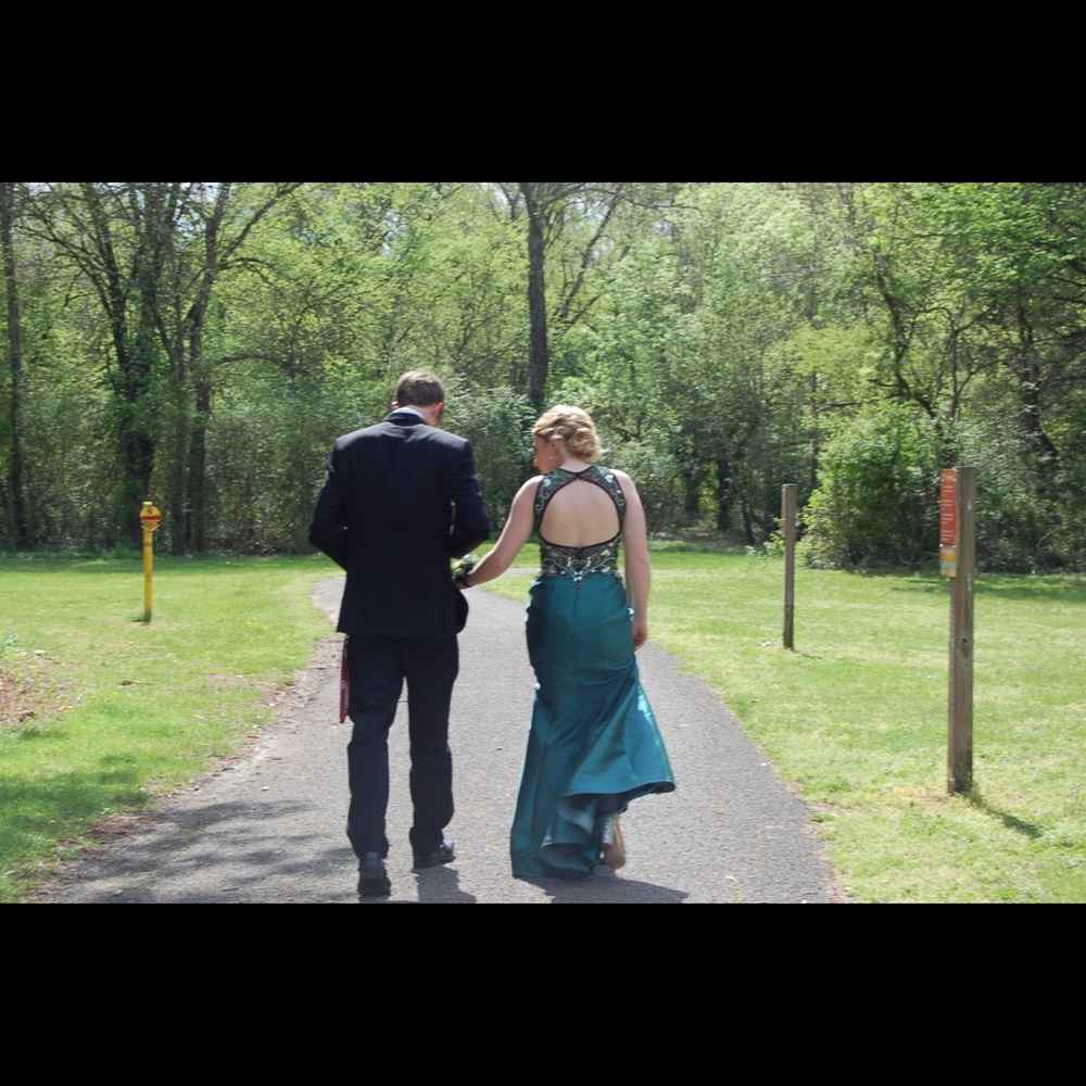Prom Dress - Picture 3 of 3